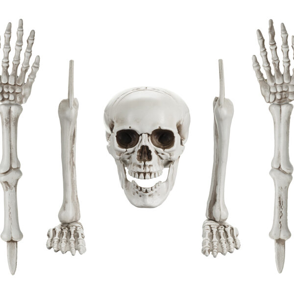 Dekoracja Kościotrup