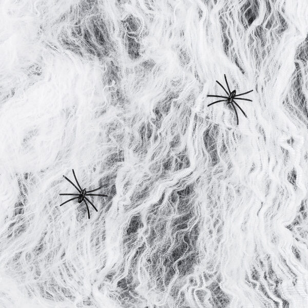 Pajęczyna Halloween, biały, 200g