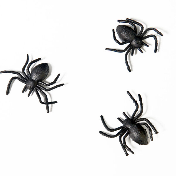 Pająki plastikowe, czarny (1 op. / 10 szt.)