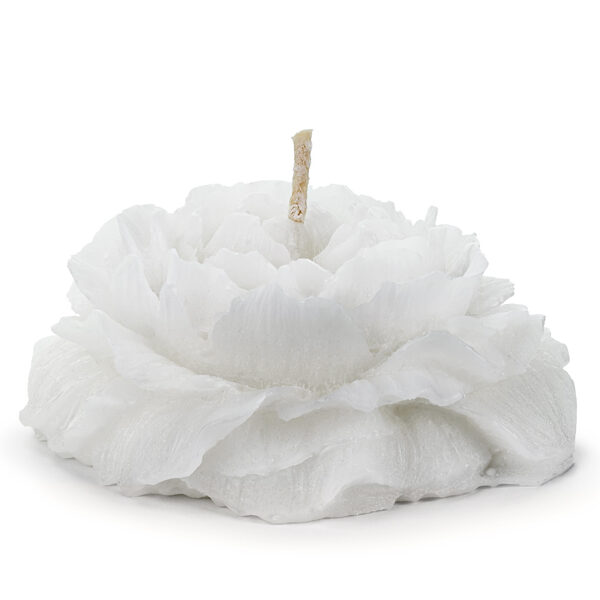 Świeca pływająca piwonia, matowa, biały, 8 cm (1 op. / 4 szt.)