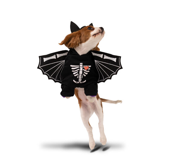 Strój dla psa Nietoperz, 45x35cm